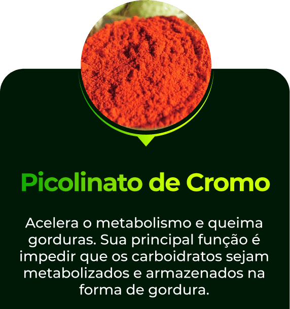 Cromo-11-1.png